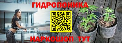 крисы Заволжье