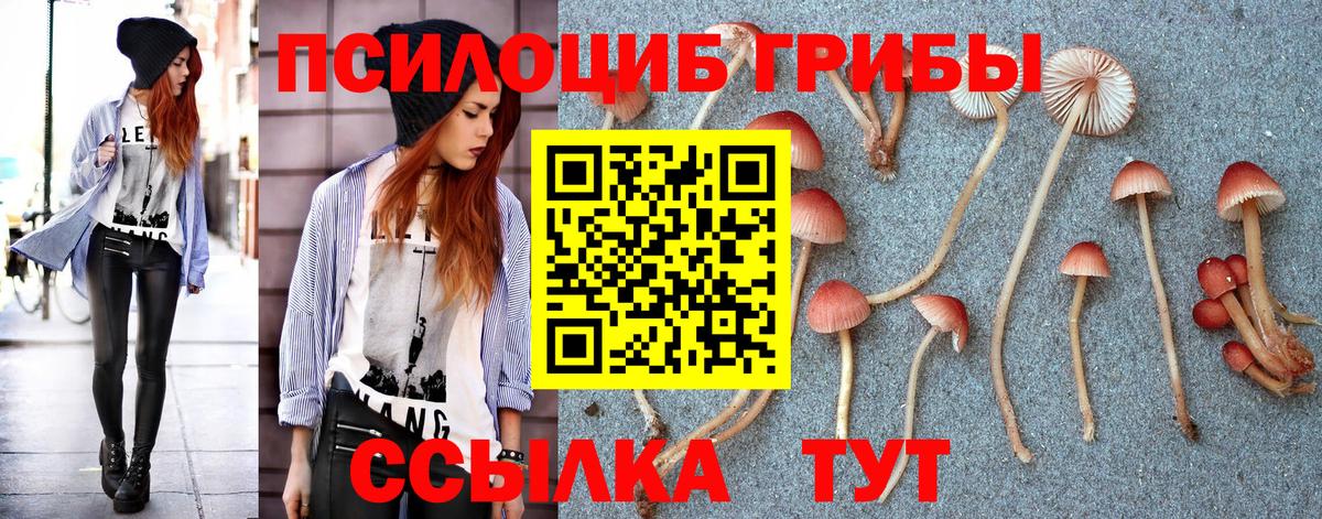 Псилоцибиновые грибы MAGIC MUSHROOMS  Вход с VPN  Моздок 