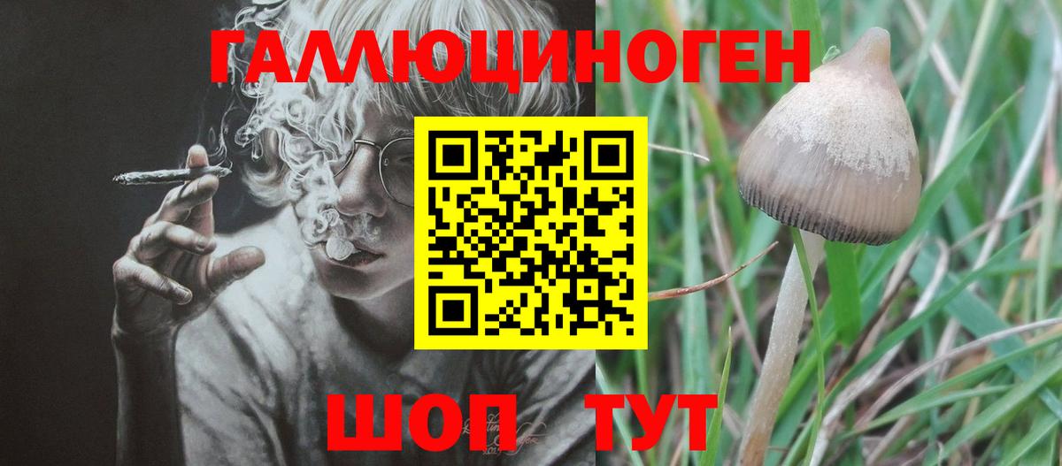 ЭКСТАЗИ Моздок